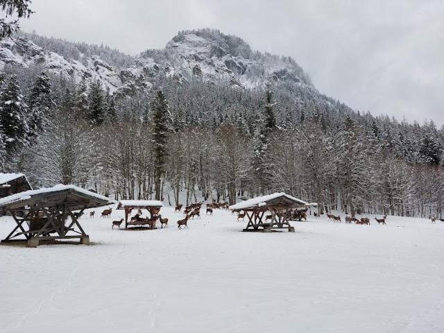 Haus Muehlgraben Otel Ramsau bei Berchtesgaden Dış mekan fotoğraf
